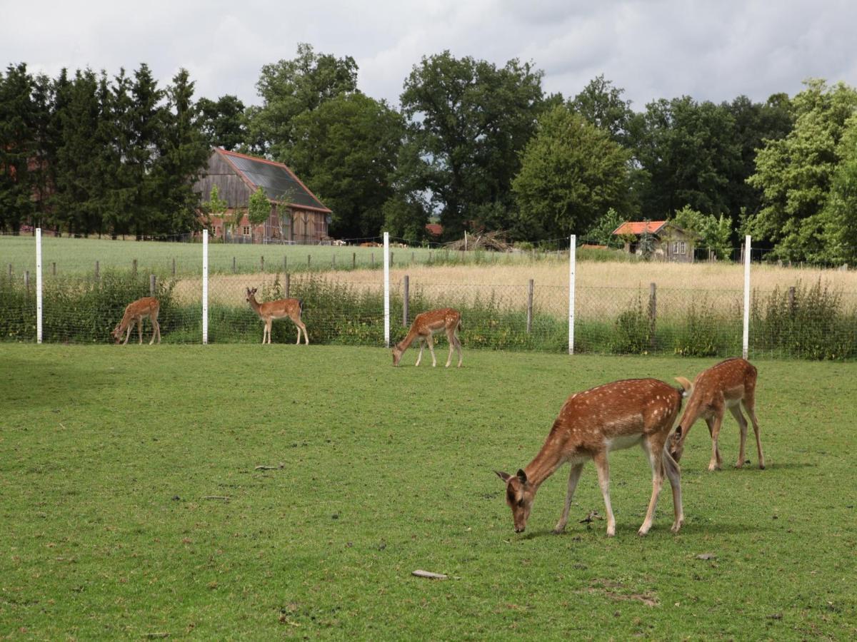 Gaeste Und Ferienhof Maas Duelmen Exterior photo